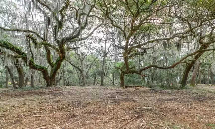 Beaufort, South Carolina 29902, ,Land,For Sale,441750