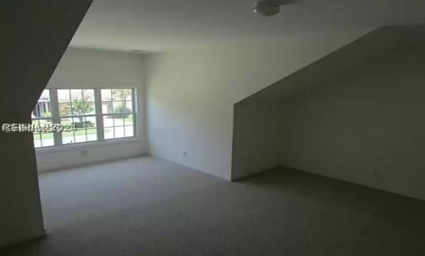 Additional living space featuring carpet flooring