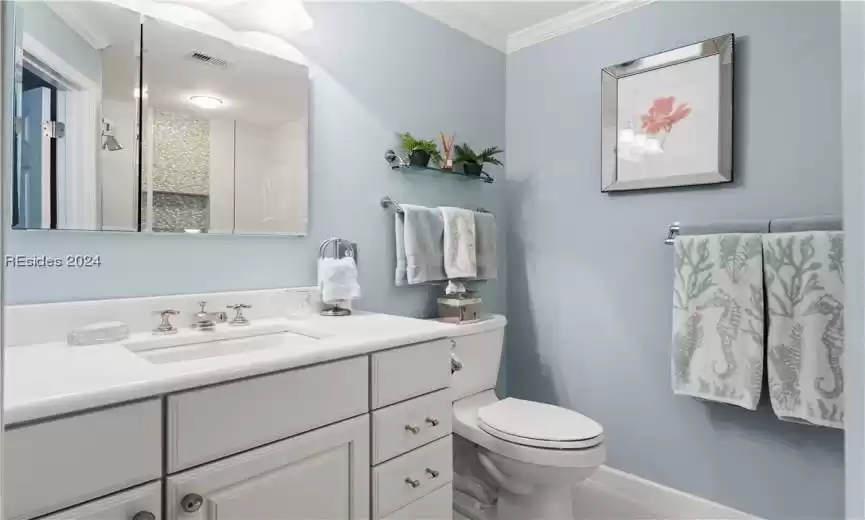 Primary Bathroom with new vanity, Kohler sink, toilet and marble counters. All hardware is Restoration Hardware.