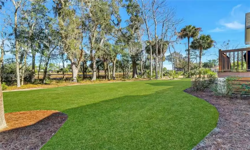 Backyard View