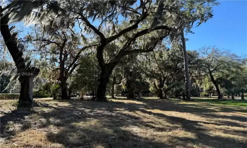 Daufuskie Island, South Carolina 29915, ,Land,For Sale,441934