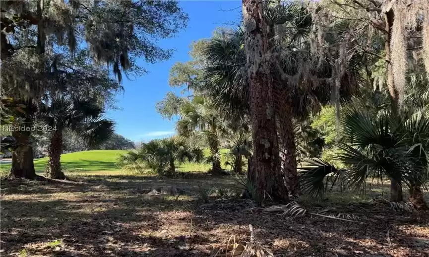 Daufuskie Island, South Carolina 29915, ,Land,For Sale,441934
