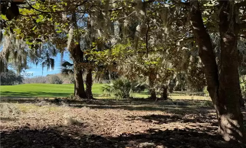 Daufuskie Island, South Carolina 29915, ,Land,For Sale,441934