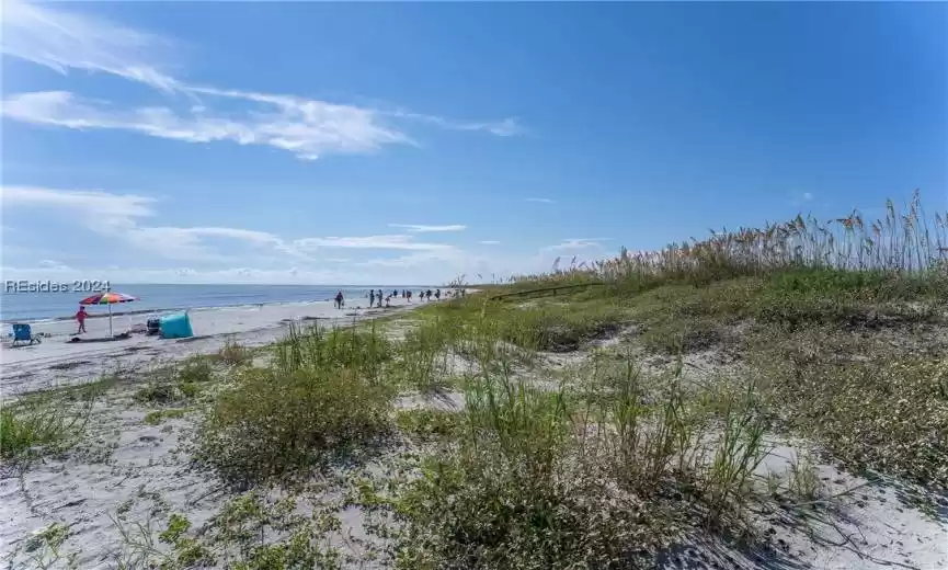 Saint Helena Island, South Carolina 29920, 1 Bedroom Bedrooms, ,1 BathroomBathrooms,Residential,For Sale,442019