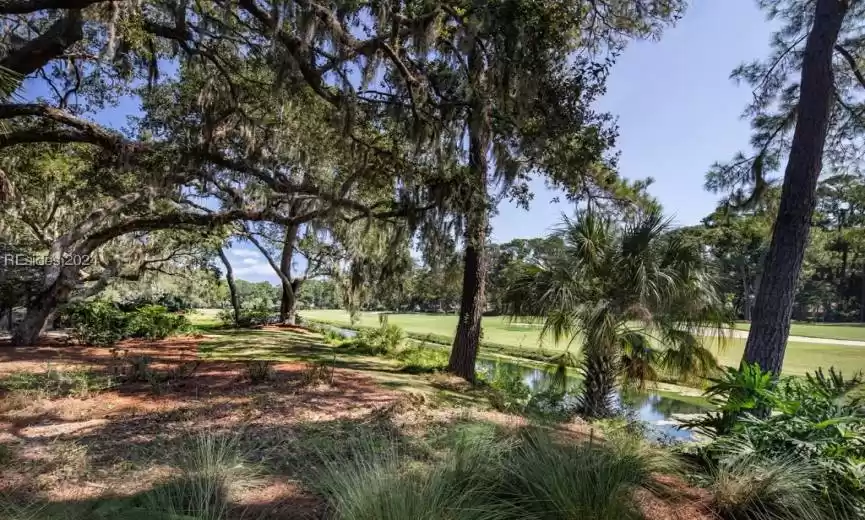 Partial view of lagoon and golf views. Just under 1/2 acre of enjoyment.