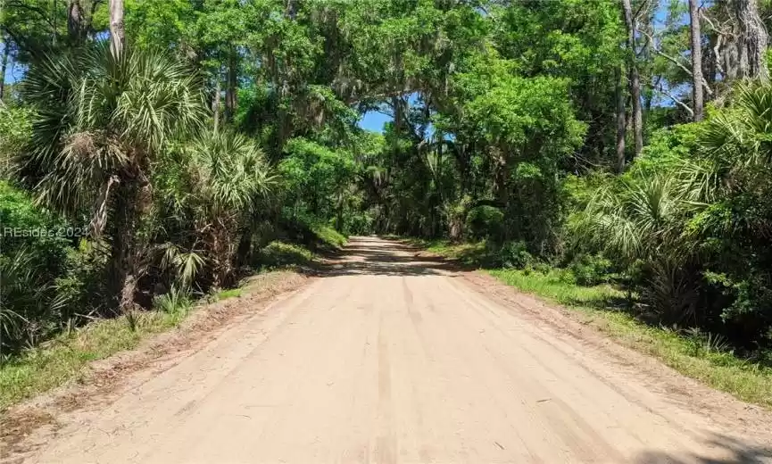 Daufuskie Island, South Carolina 29915, ,Land,For Sale,442125
