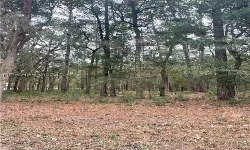 Daufuskie Island, South Carolina 29915, ,Land,For Sale,442125