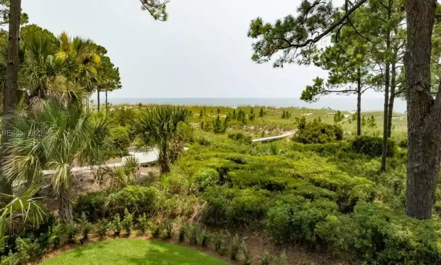 Backyard and Ocean