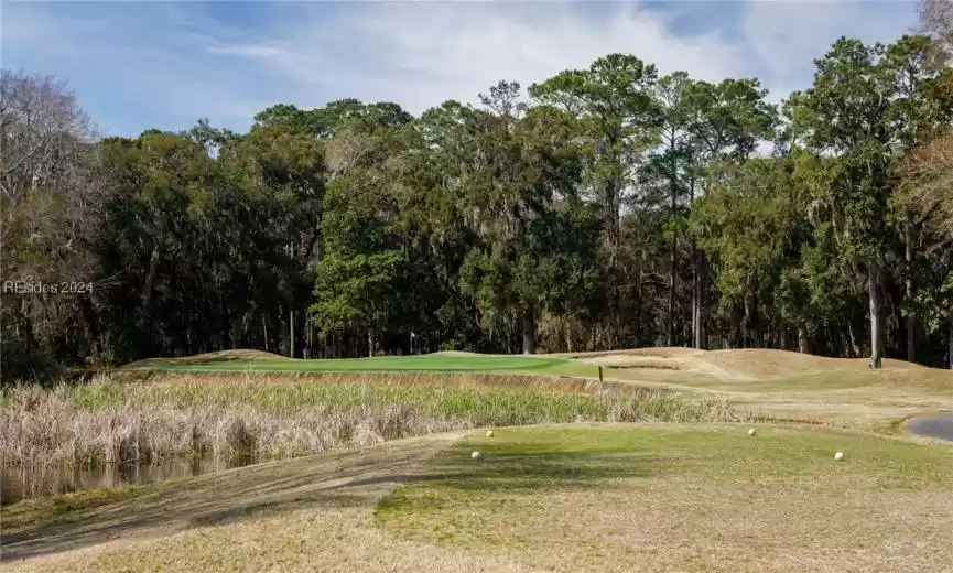 Daufuskie Island, South Carolina 29915, 4 Bedrooms Bedrooms, ,4 BathroomsBathrooms,Residential,For Sale,442130