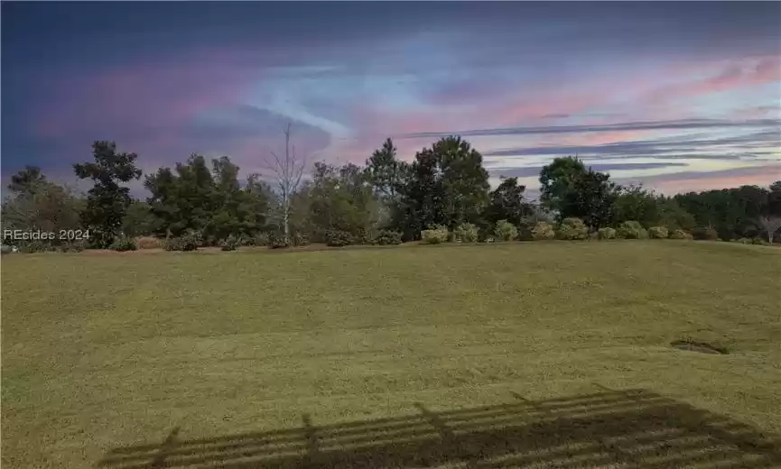 View of yard at dusk