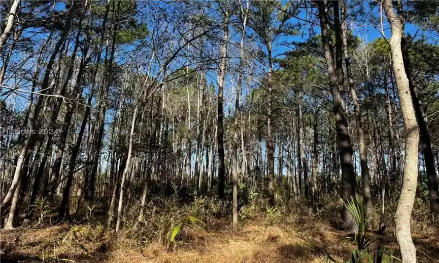 Hardeeville, South Carolina 29927, ,Land,For Sale,442293