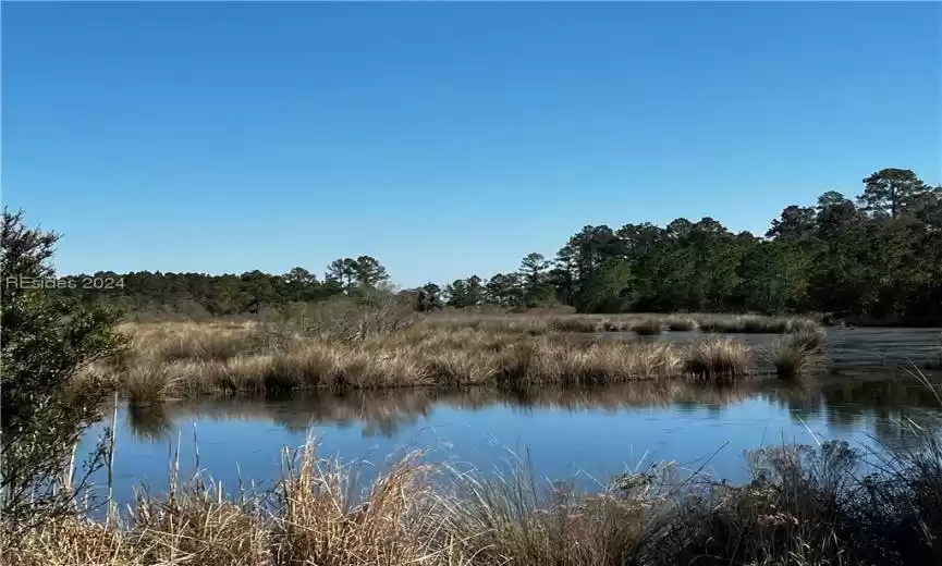 Telfair duck impoundments/Historic rice fields