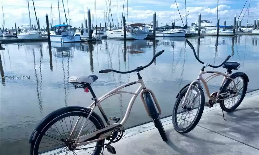 Saint Helena Island, South Carolina 29920, ,Land,For Sale,442351