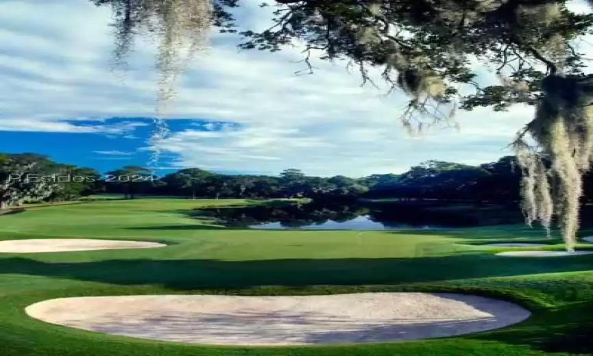 Saint Helena Island, South Carolina 29920, ,Land,For Sale,442351