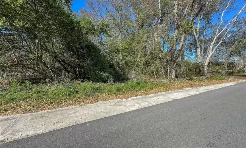 Allendale, South Carolina 29810, ,Land,For Sale,442353