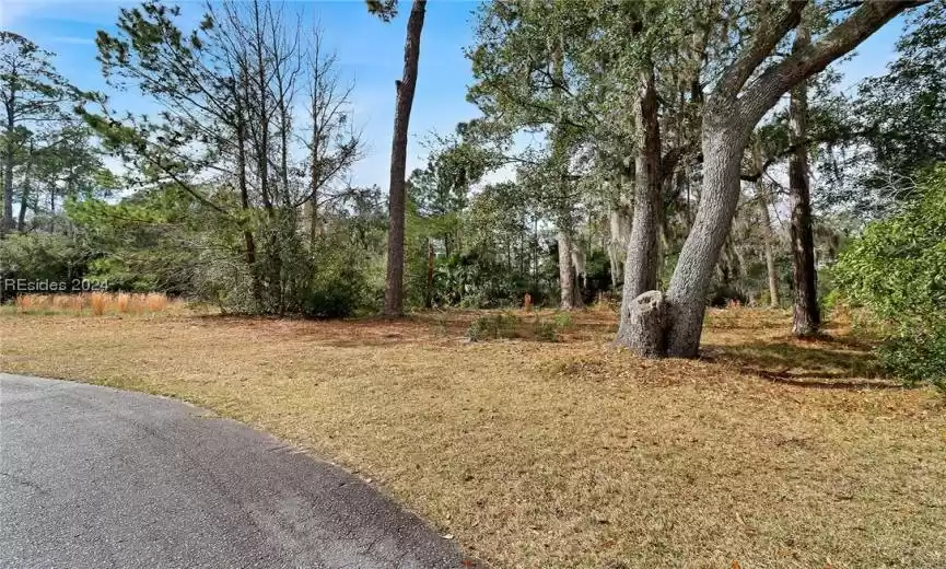 7 Silver Oak Circle - Oakview Neighborhood