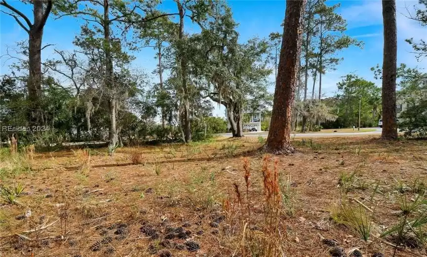 7 Silver Oak Circle - Oakview Neighborhood