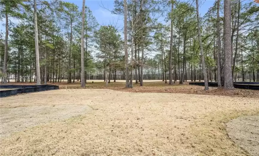 Large backyard