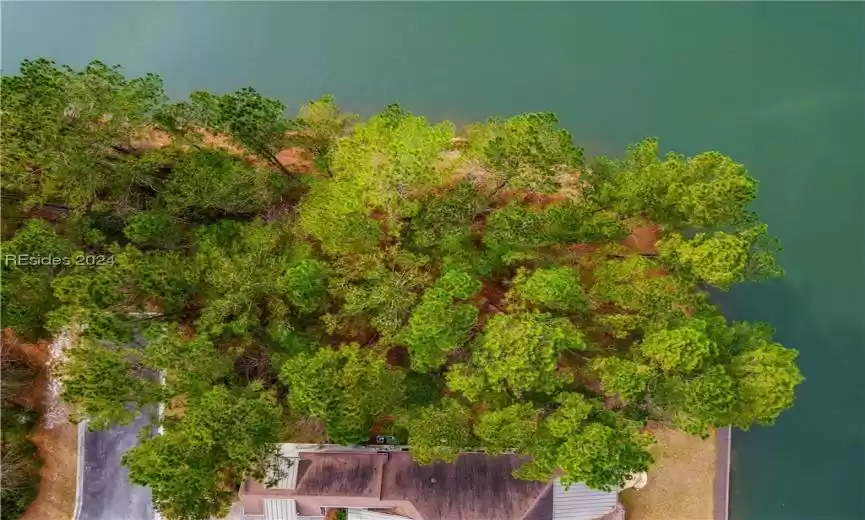 Bluffton, South Carolina 29910, ,Land,For Sale,442428
