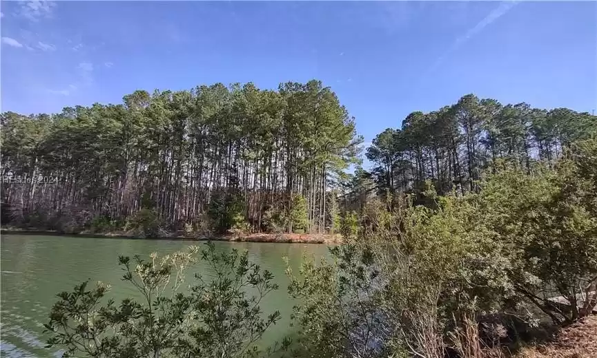 Bluffton, South Carolina 29910, ,Land,For Sale,442428