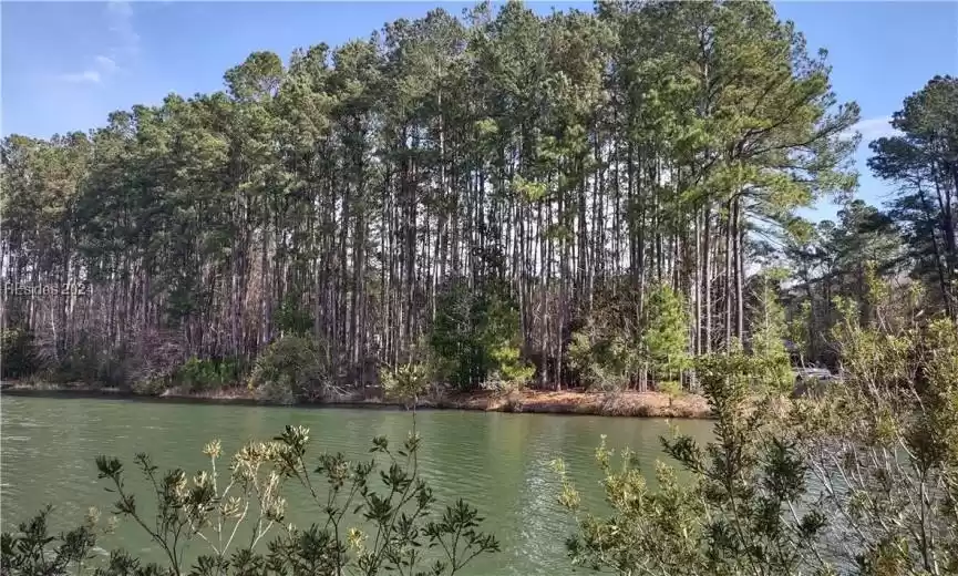 Bluffton, South Carolina 29910, ,Land,For Sale,442428
