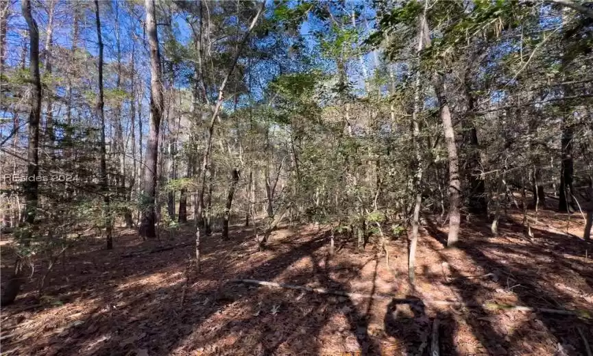 Prosperity, South Carolina 29127, ,Land,For Sale,442490