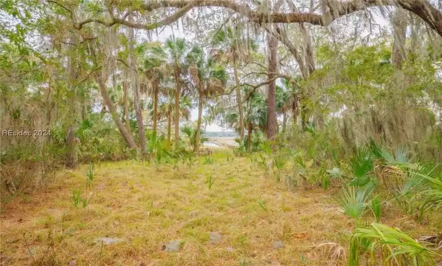 Okatie, South Carolina 29909, ,Land,For Sale,442477