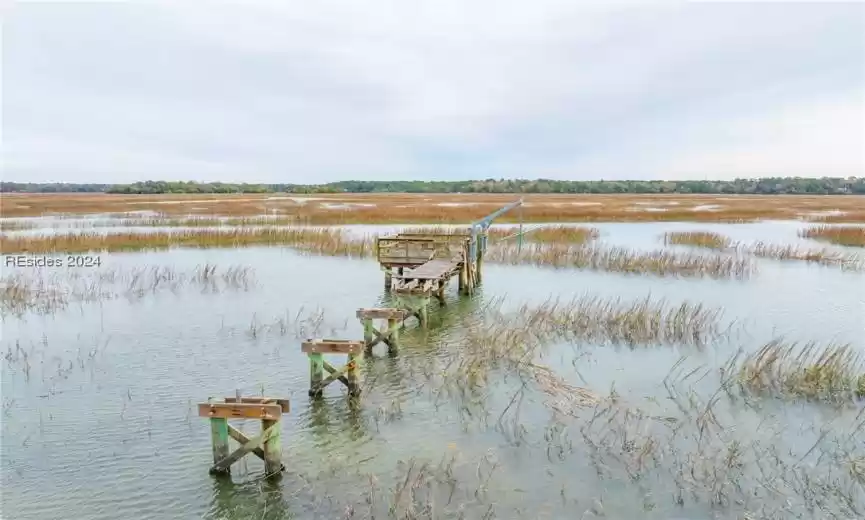 Okatie, South Carolina 29909, ,Land,For Sale,442477