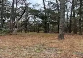 Daufuskie Island, South Carolina 29915, ,Land,For Sale,442459
