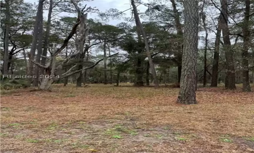 Daufuskie Island, South Carolina 29915, ,Land,For Sale,442459