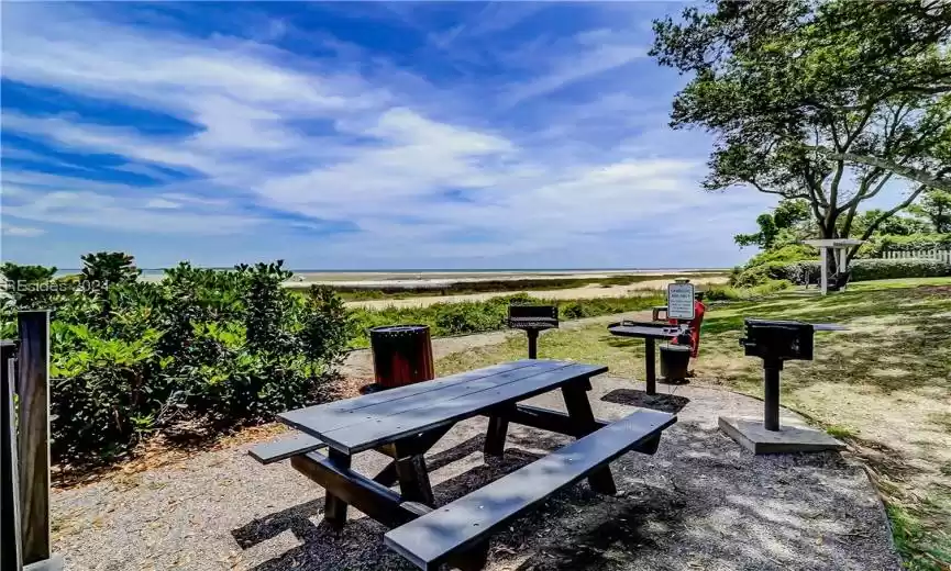 Outdoor picnic and grilling area