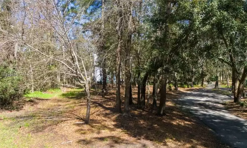 Bluffton, South Carolina 29910, ,Land,For Sale,442139