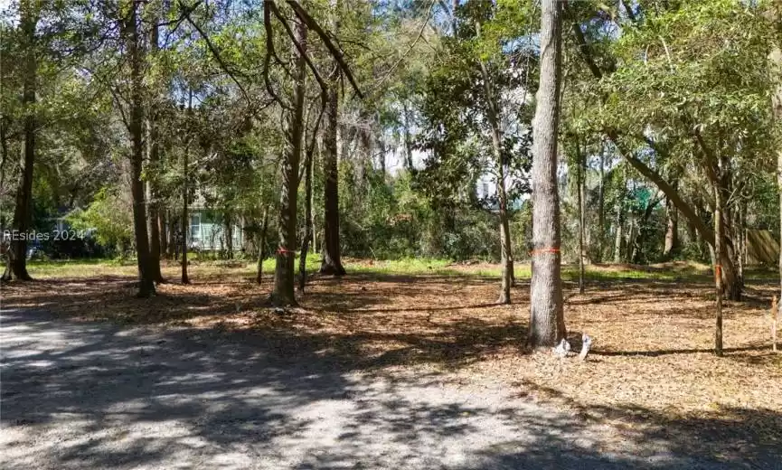 Bluffton, South Carolina 29910, ,Land,For Sale,442139