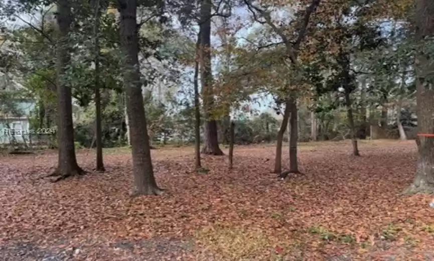 Bluffton, South Carolina 29910, ,Land,For Sale,442139