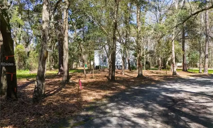 Bluffton, South Carolina 29910, ,Land,For Sale,442139