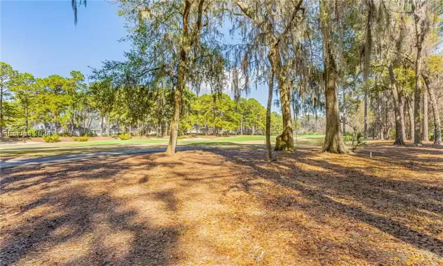 Bluffton, South Carolina 29910, ,Land,For Sale,442332