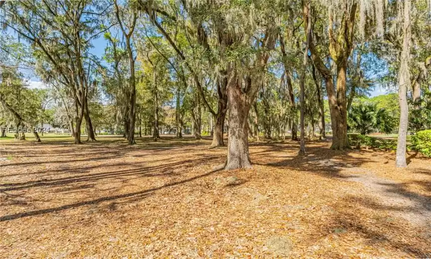 Bluffton, South Carolina 29910, ,Land,For Sale,442332