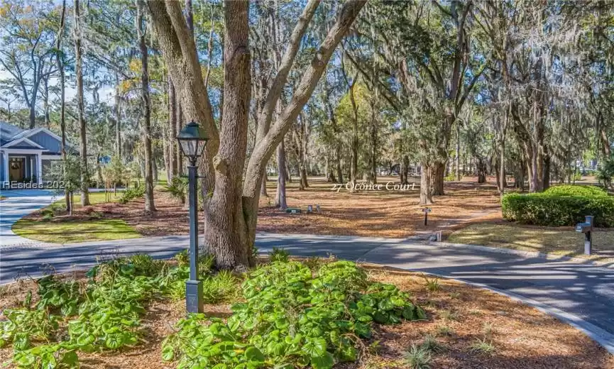 Bluffton, South Carolina 29910, ,Land,For Sale,442332