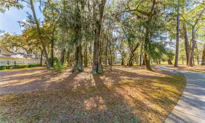 Bluffton, South Carolina 29910, ,Land,For Sale,442332