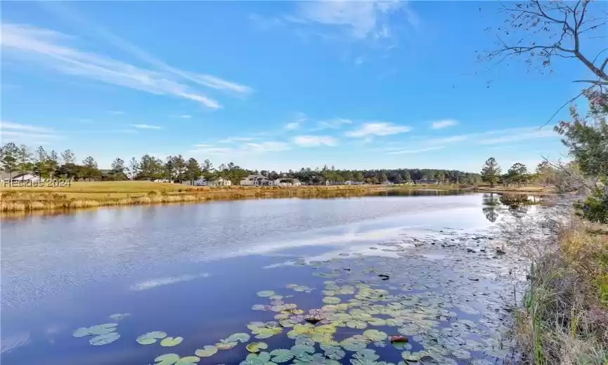 Hardeeville, South Carolina 29927, 4 Bedrooms Bedrooms, ,3 BathroomsBathrooms,Residential,For Sale,442612