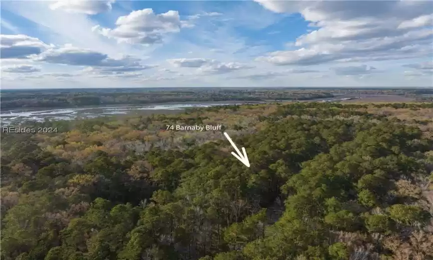 Seabrook, South Carolina 29940, ,Land,For Sale,442656