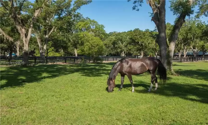 Hilton Head Island, South Carolina 29926, 4 Bedrooms Bedrooms, ,3 BathroomsBathrooms,Residential,For Sale,442144