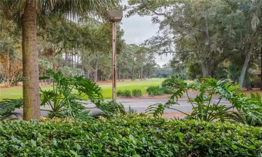 View of landscape and 11th Tee and Fairway of Harbour Town Golf Links