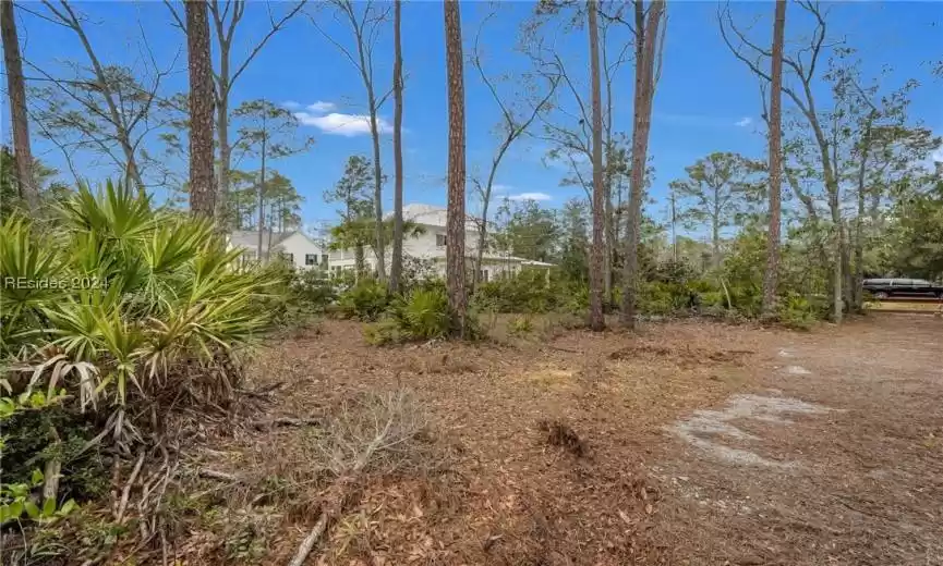 Bluffton, South Carolina 29910, ,Land,For Sale,442486