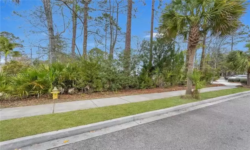 Bluffton, South Carolina 29910, ,Land,For Sale,442486
