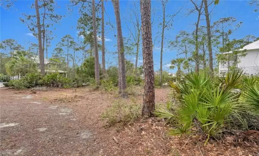 Bluffton, South Carolina 29910, ,Land,For Sale,442486