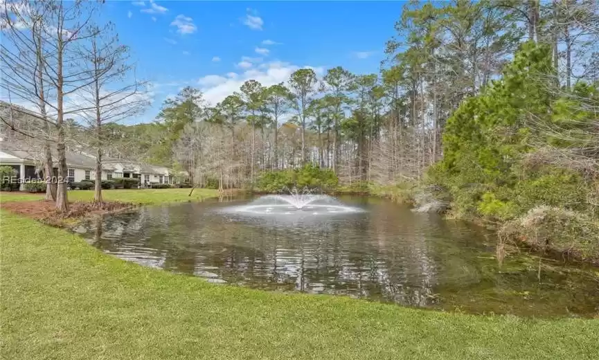 Lagoon view with woods behind