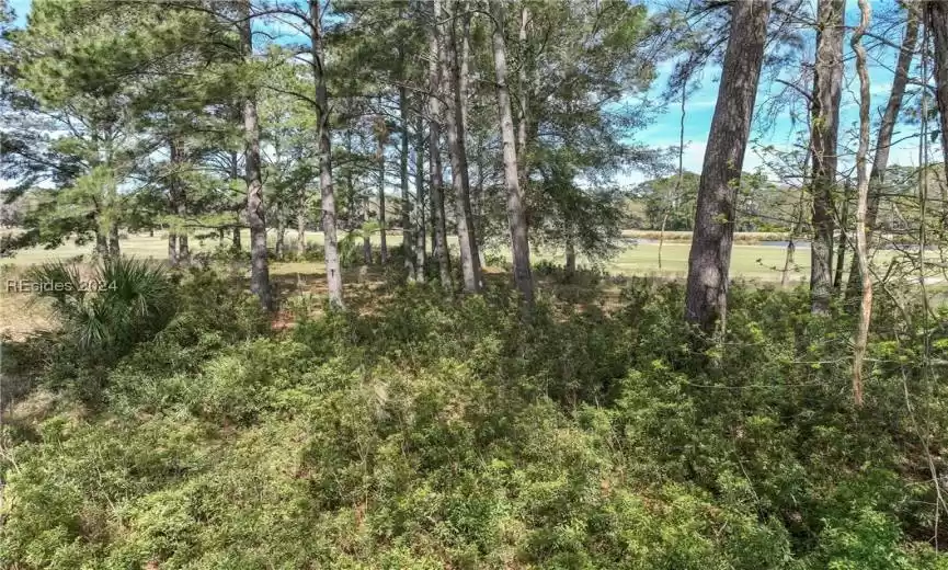 Beaufort, South Carolina 29907, ,Land,For Sale,442717