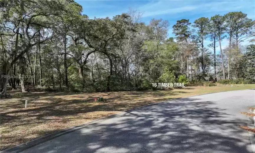 Beaufort, South Carolina 29907, ,Land,For Sale,442719