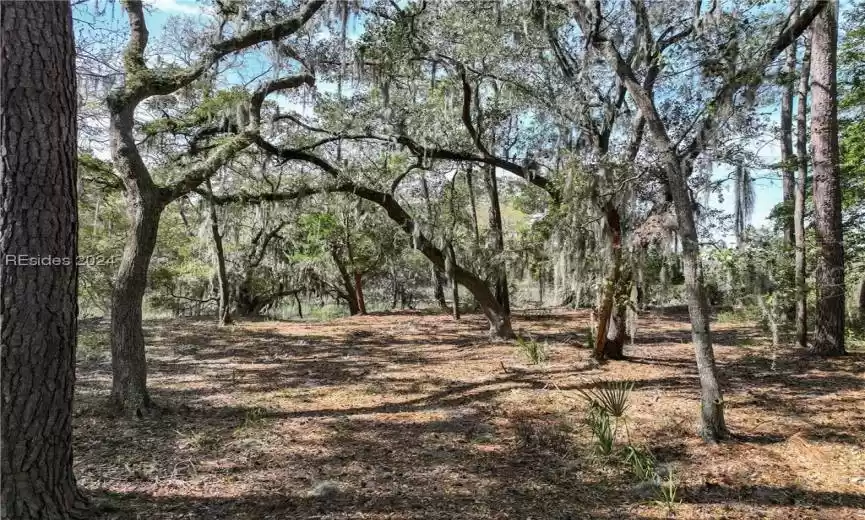 Beaufort, South Carolina 29907, ,Land,For Sale,442719